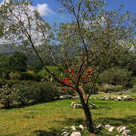 Levanda Villa